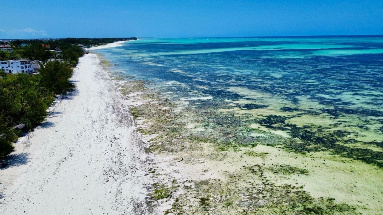 Mbuyuni Beach Village Jambiani  Exterior foto